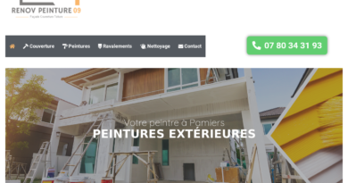 Renov Peinture 09